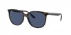 OKULARY RAY-BAN® RB 4378 710/80 54 ROZMIAR M